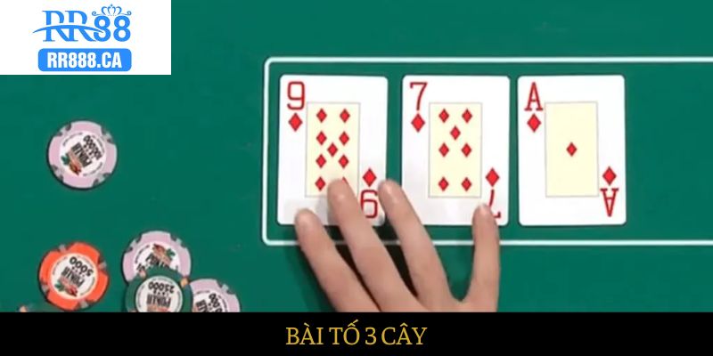 bai to 3 cay